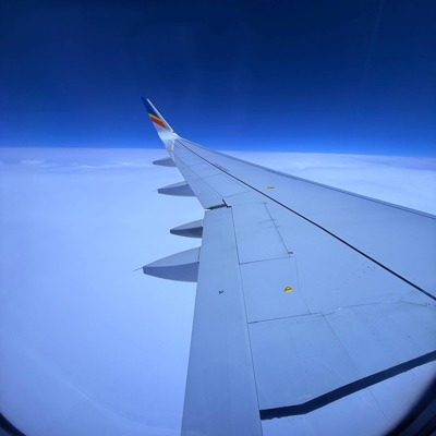 Cant Do Wrong - Single