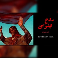 SOUTHERN SOUL  روح جنوبی - Single - Omid Aghajani