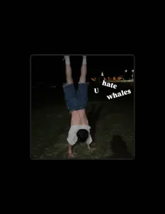 聆聽 Gabe Adams、觀看音樂影片、閱讀小傳、查看巡演日期等！