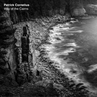 Way of the Cairns (feat. Paul Wiltgen, Michael Janisch & Kristjan Randalu) - Single - Patrick Cornelius
