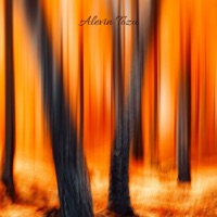 Alevin Tozu - Single - Turkish Coffee