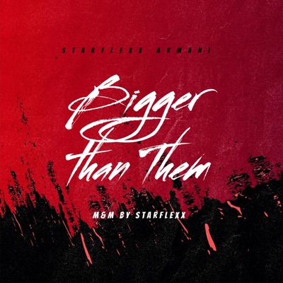 Bigger Than Them - Single