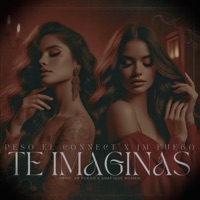 Te Imaginas - Single - JM Fuego & Peso El Connect