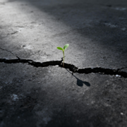 I'm Not Okay - Damon Price