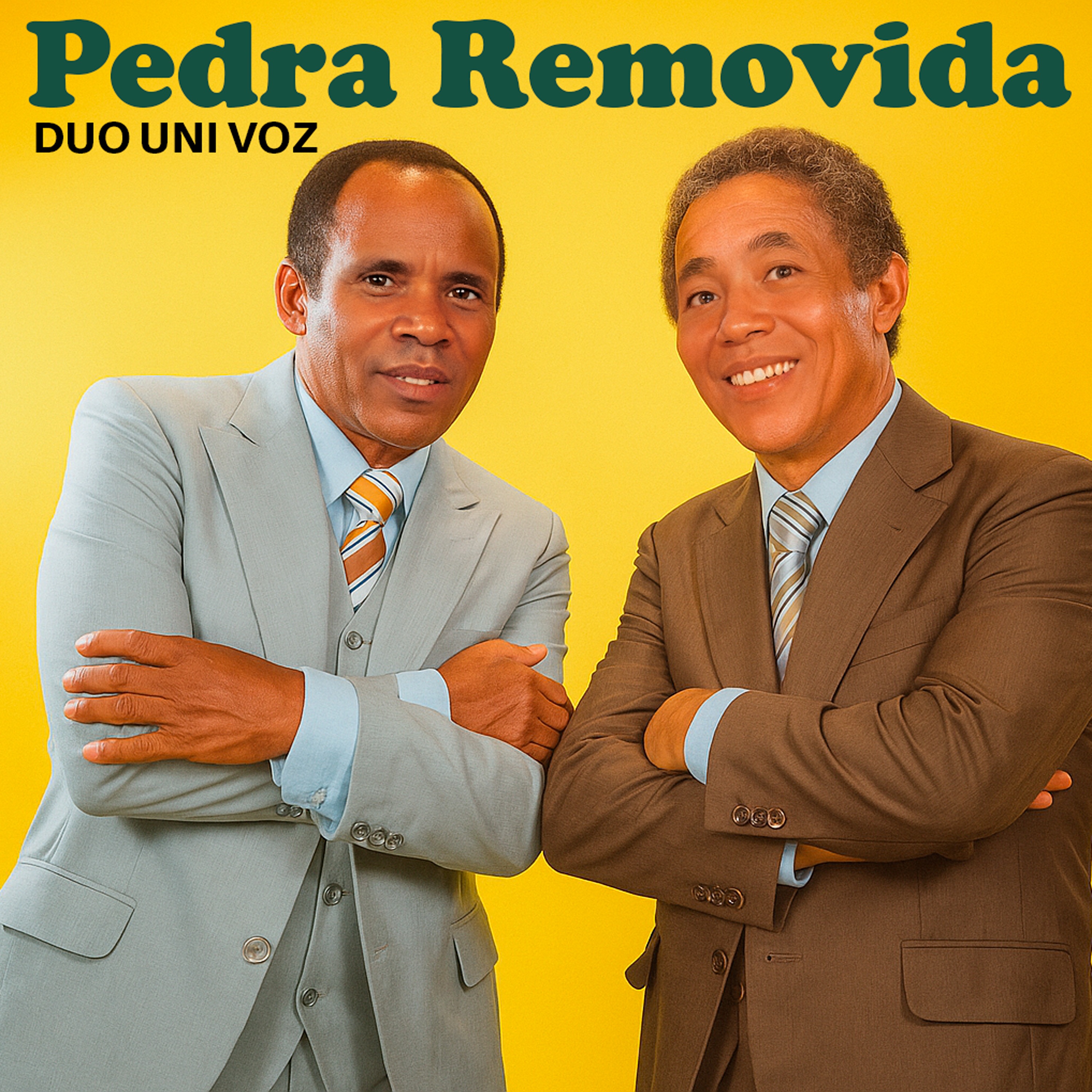 Pedra Removida