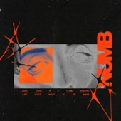 Numb artwork