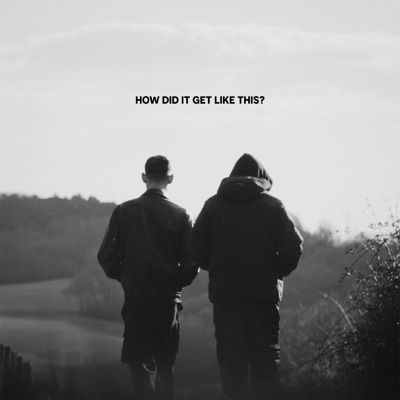 How Did It Get Like This? - Single