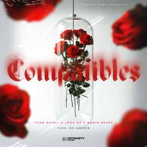 Compatibles (feat. Joss DV)
