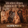 Saltatio Mortis - Ich schrei deinen Namen in die Nacht Grafik