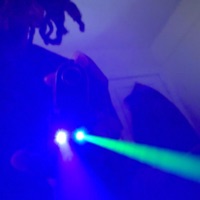 Range (feat. mg.sleeze) - Single - Bands62