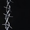 DRAKULA - HALLOW & Alisxn Gray lyrics