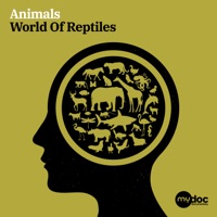 Animals - World Of Reptiles - François Maigret, Pierre Baillot, Edmundo Carneiro & Denis Teste