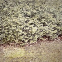 The More You Know - Single - jidrip