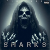 Sharks - Single - Pureverb