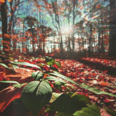 Turning Leaves - Single