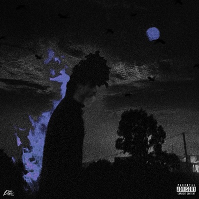 Home Of The Loners II