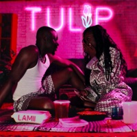 Tulip - Single - Lamii