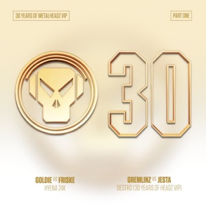 30 Years of Metalheadz VIP, Pt. 1 - Single