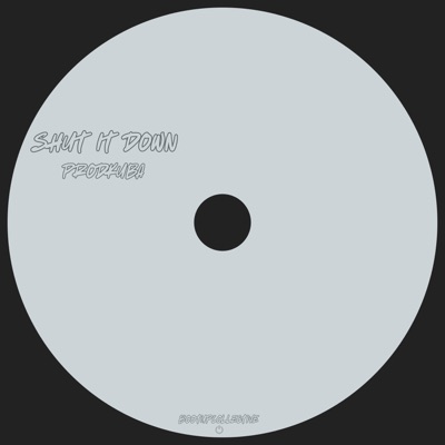 SHUT IT DOWN - Single