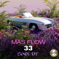 Mas Flow 33 - Single - Sixel Pit