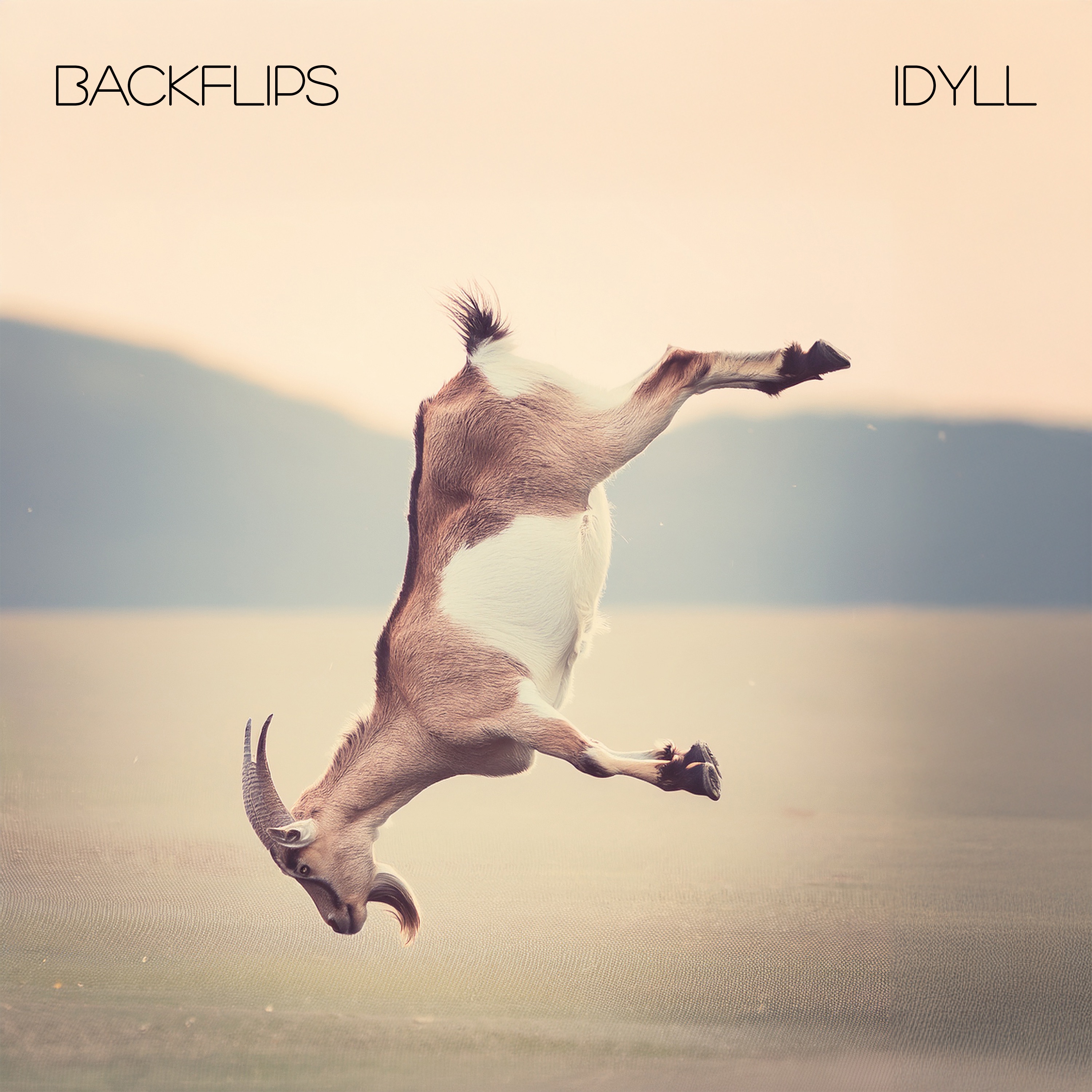 BACKFLIPS - EP