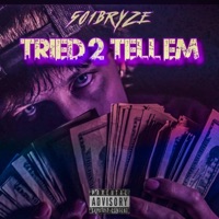 Tried 2 Tell Em - Single - 501Bryze
