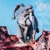 Predatory Void - Contemplation In Time artwork