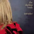 Intruder -dc
