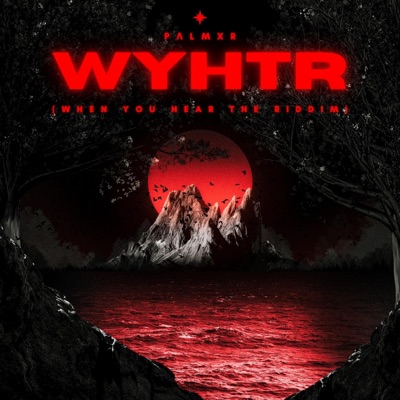 WYHTR (when you hear the riddim) - Single