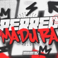 PERREO MADURA - Single - romancitodj