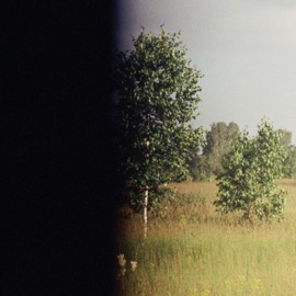 From The Storm Foresteppe