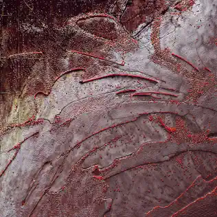 Chris Lake, Skrillex & Anita B Queen – LA NOCHE – Single (2025)