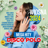 Wiosna - Mega Hity Disco Polo 2024 - Various Artists