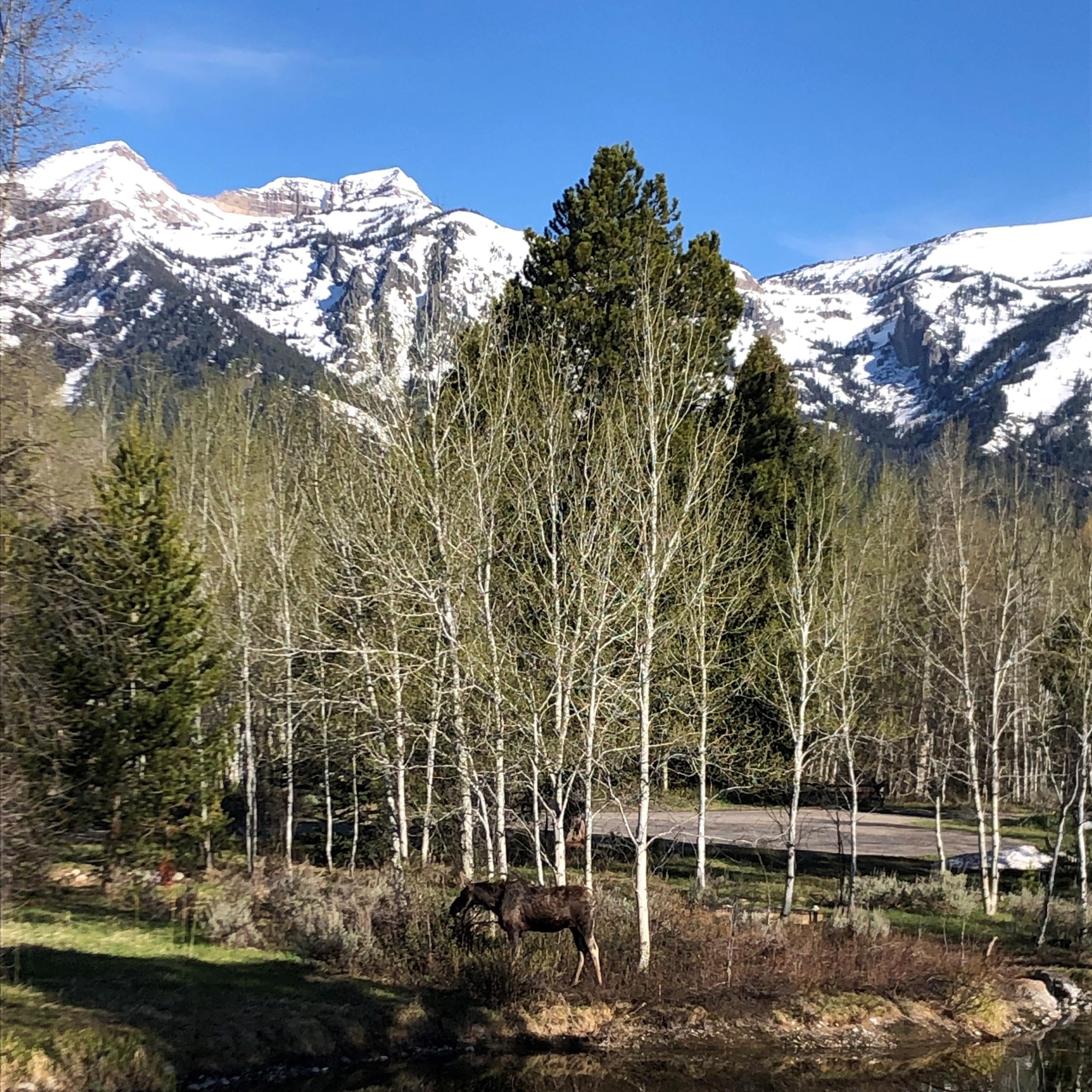 30 years later - Single