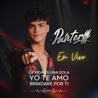 La Vida Es Una Sola / Yo Te Amo / Brindaré Por Ti (En vivo) - Single - Grupo La Pantera