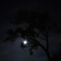 Better me - Single - j.marsh & FERRII FLY