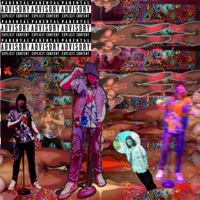 YAK - Single - Flap Peacock