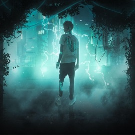 Artificial (feat. adluci) Manutuu