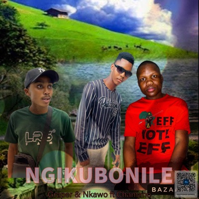 Ngikubonile (feat. Chamane) [Nkawo Remix Special Version] - Single