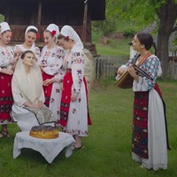 Nu sta, mireasă-n grădină - Single - Maria Chivu