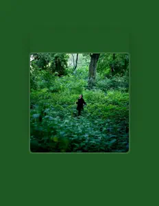 Dengarkan GLU, tonton video musik, baca bio, lihat tanggal tur & lainnya!