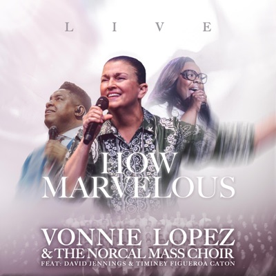 "How Marvelous" (Live)