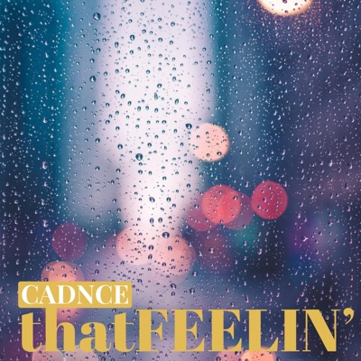 thatFEELIN' - Single