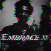 Embrace It - Single - DeeToExtra