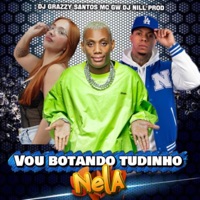 Vou Botando Tudinho Nela - Single - Dj Grazzy Santos, Mc Gw & DJ Nill Prod