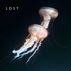 LOST Abel York