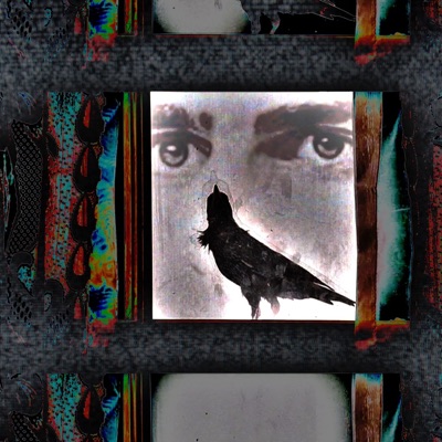 DICKIE MOLTISANTI MUSIK