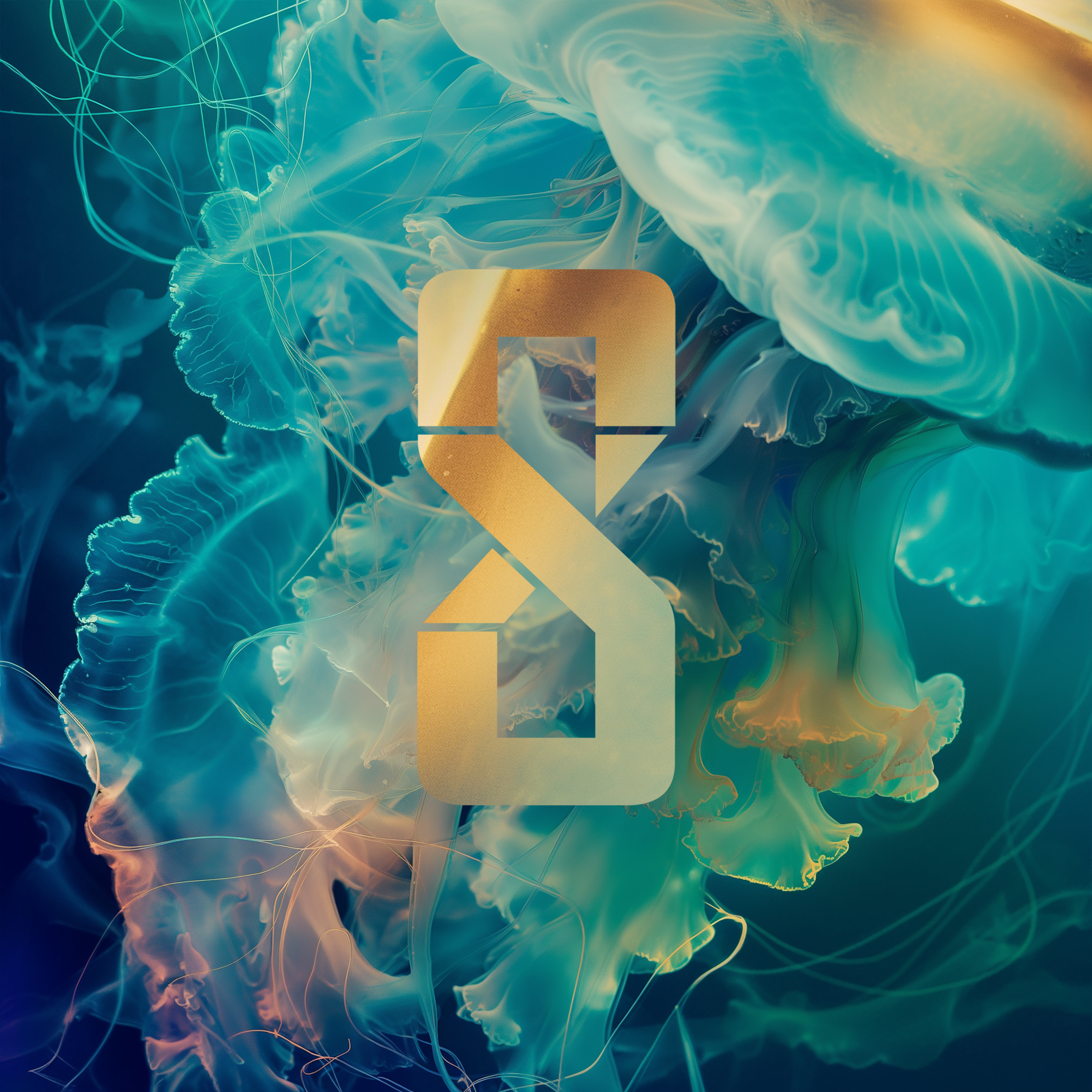 Wherever You're Not - Single