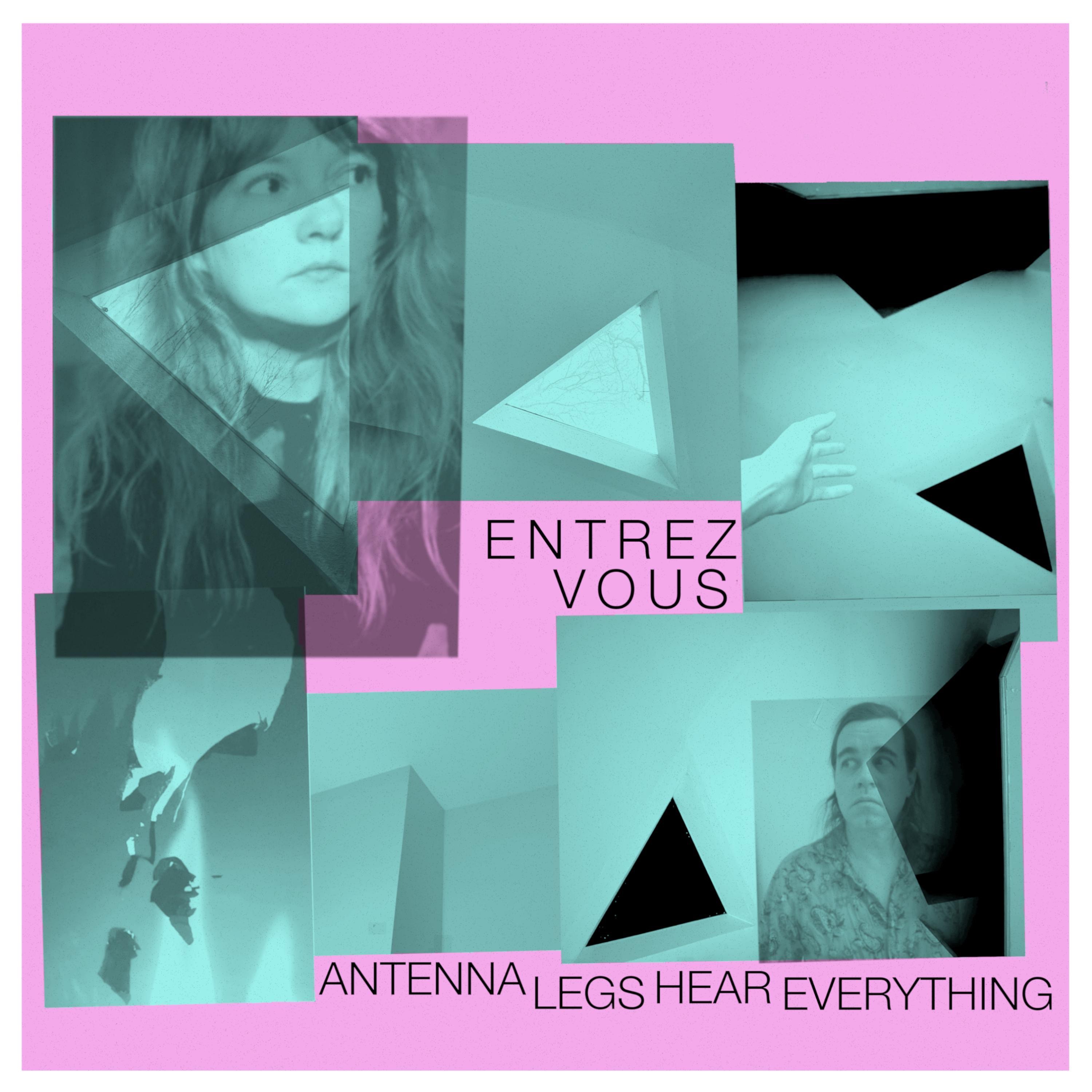 Antenna Legs Hear Everything