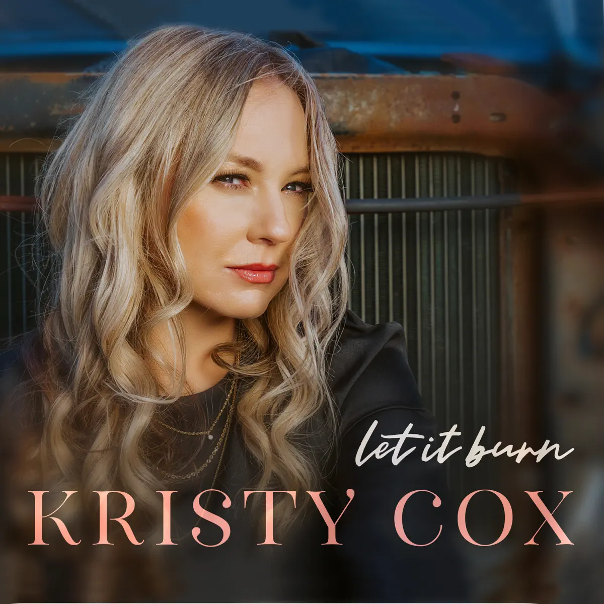 Kristy Cox - Let It Burn (2024) [iTunes Plus AAC M4A]-新房子
